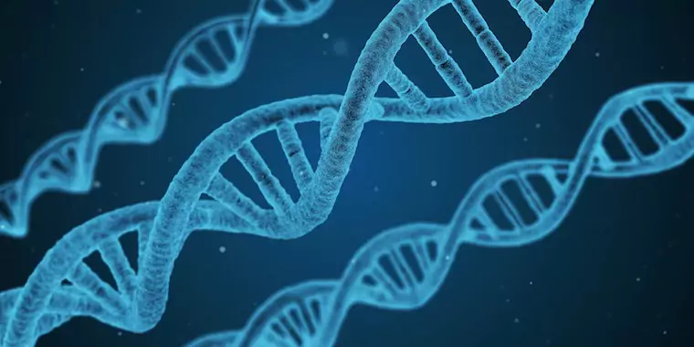 Biology