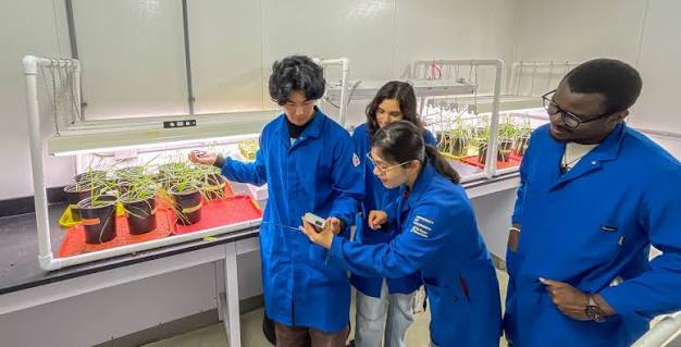 Environmental and Ecological Sciences